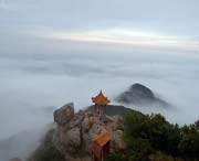 临朐天气预报7天