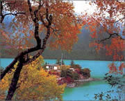 墨脱天气预报7天
