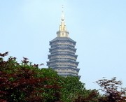武进天气预报7天