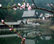 浠水天气预报10天