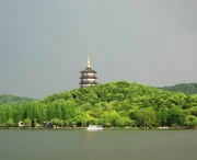滨江天气预报7天