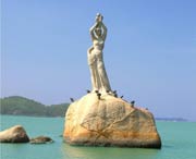 金湾天气预报7天